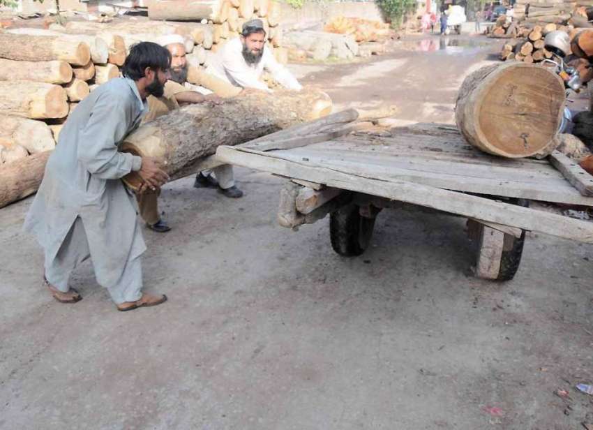 راولپنڈی: وارث خان ٹمبر مارکیٹ میں مزدور لکڑی ریڑھے پر لوڈ ..