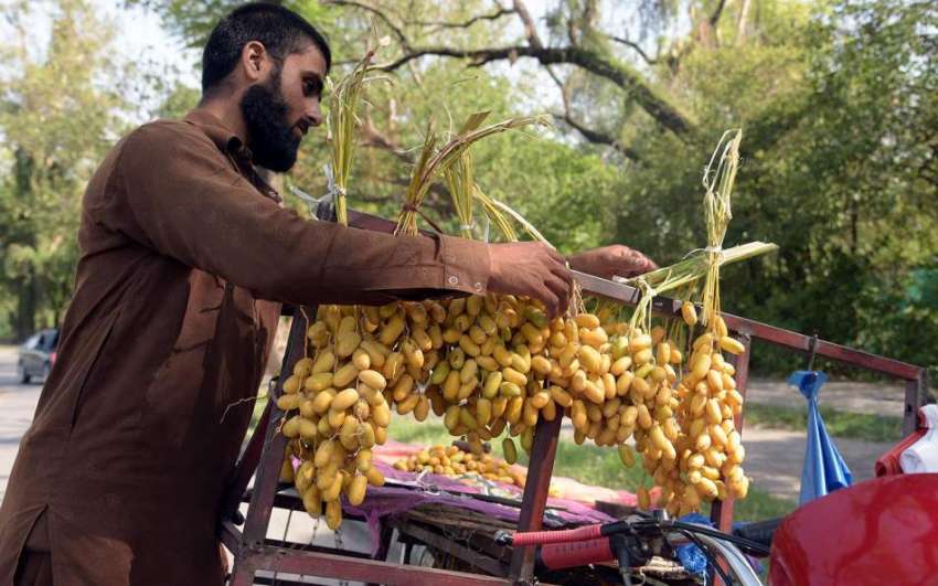 اسلام آباد: محنت کش گاہکوں کو متوجہ کرنے کے لیے تازہ کھجور ..