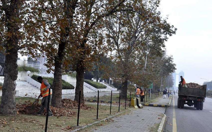 اسلام آباد: سی ڈی اے اہلکار گرین بیلٹ کی صفائی ستھرائی میں ..