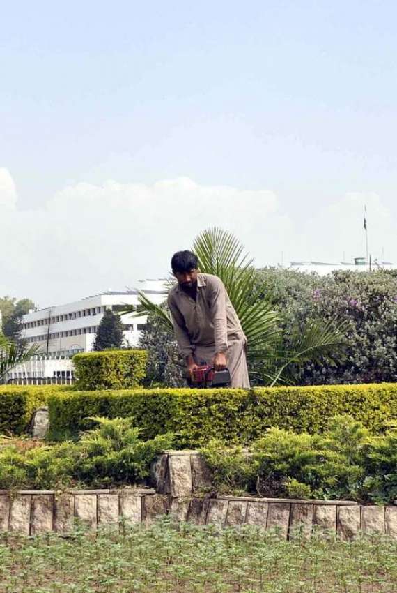اسلام آباد: سی ڈی اے اہلکار گرین بیلٹ پر پودوں کی دیکھ بھال ..