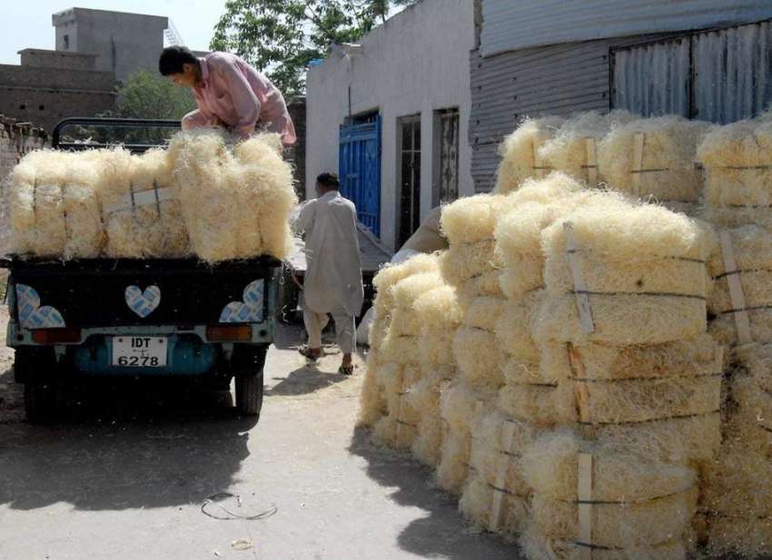 راولپنڈی: محنت کش روم کولر کے لیے استعمال ہونیوالی خسیں ..