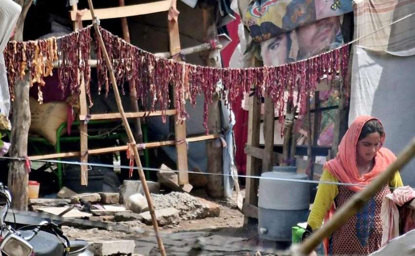 راولپنڈی: خانہ بدوش خواتین نے گوشت کو محفوظ کرنے کے لیے دھوپ ..