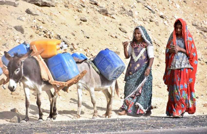 تھرپارکر: خواتین پینے کا صاف پانی گدھوں پر لوڈ کیے واپس جارہی ..