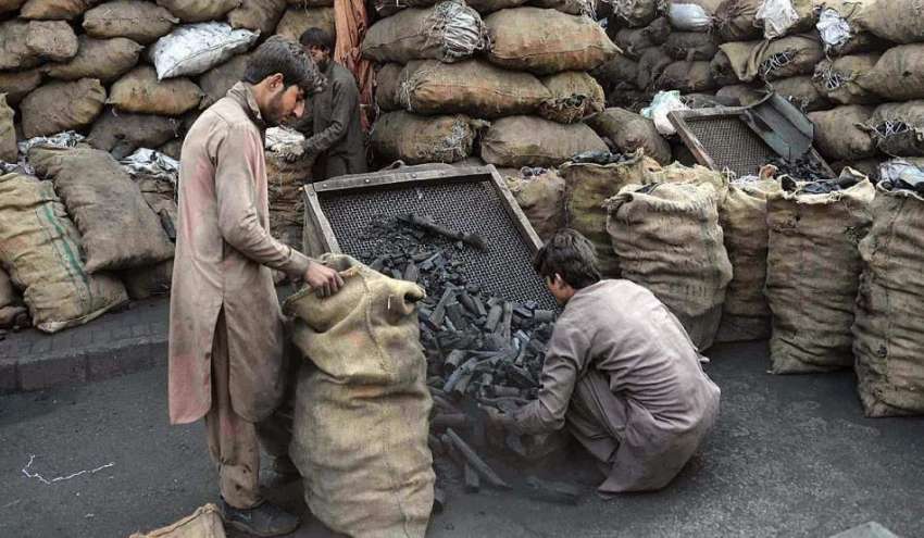 راولپنڈی: دکاندار کوئلہ فروخت کے لیے بوری میں پیک کررہے ..