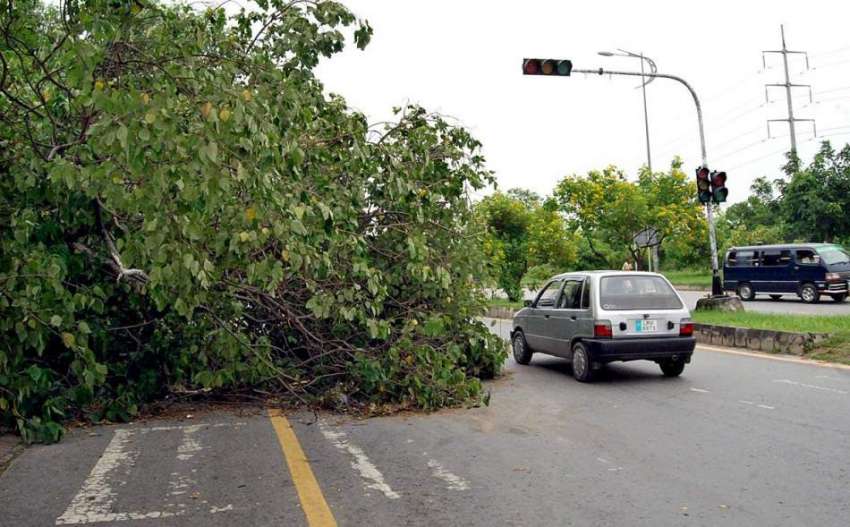 اسلام آباد: وفاقی دارالحکومت میں تیز آندھی کے باعث درخت ..