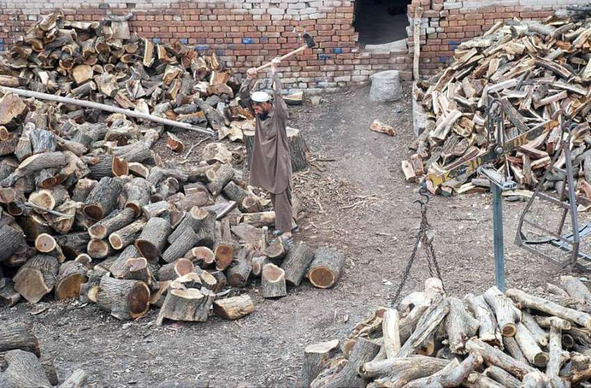 پشاور: محنت کش ٹال پر لکڑیاں کاٹ رہا ہے۔