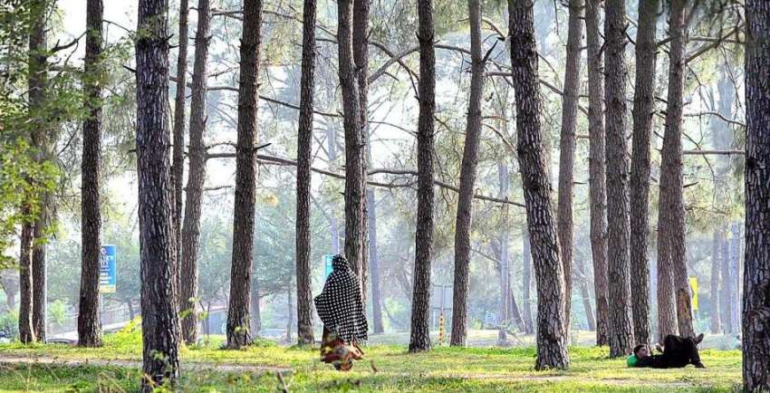 اسلام آباد: وفاقی دارالحکومت میں ایک خاتون گرین بیلٹ پر ..
