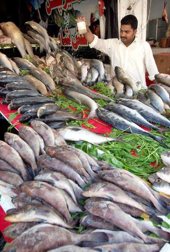 راولپنڈی: دکاندار گاہکوں کو متوجہ کرنے کے لیے مچھلی فروخت ..