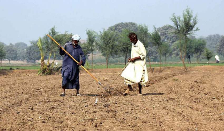 ملتان: کستان کھیت کو فصل کے لیے تیار کر رہے ہیں۔