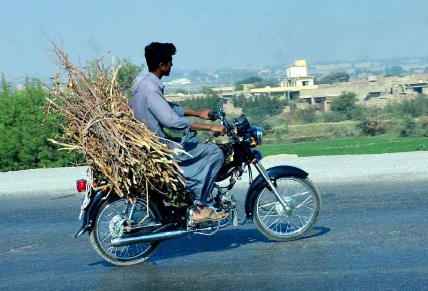 حیدر آباد: موٹر سائیکل سوار خشک لکڑیاں لادھے اپنے منزل کی ..