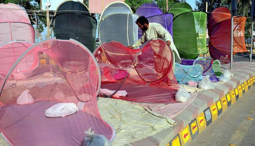حیدر آباد: دکاندار گاہکوں کو مچھردانیاں سجا رہا ہے۔
