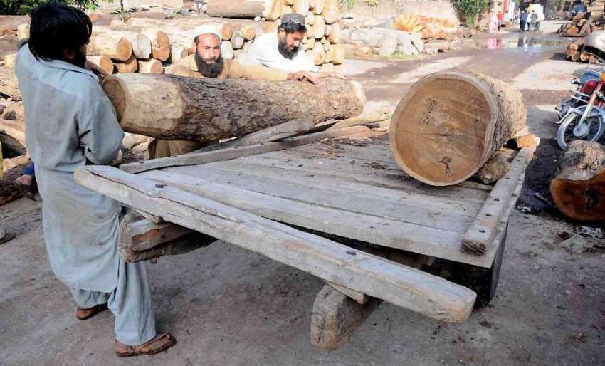 راولپنڈی: وارث خان ٹمبر مارکیٹ میں مزدور لکڑی ریڑھے پر لوڈ ..