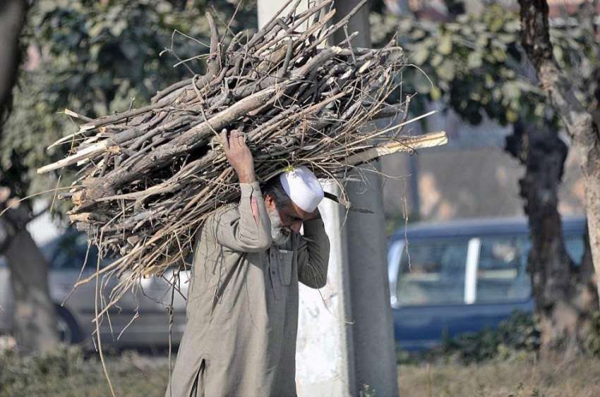 راولپنڈی: ایک معمر شخص گھر کا چولہا جلانے کے لیے خشک لکڑیاں ..