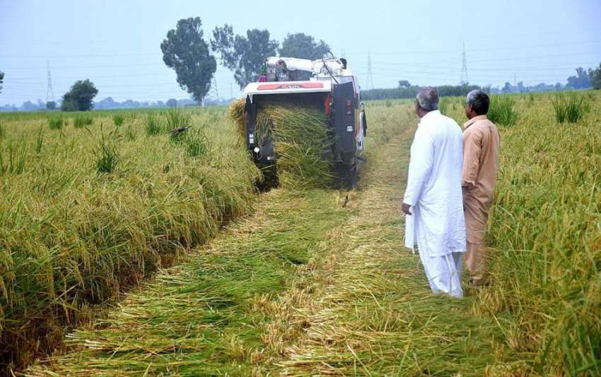 لاہور: کسان کھیت میں ہارویسٹر کی مدد سے کام کررہا ہے۔