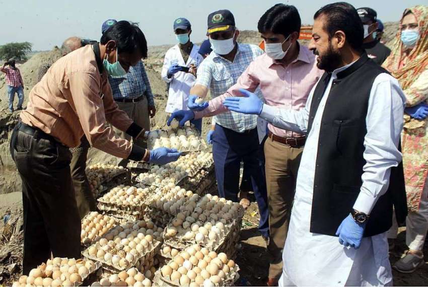 لاہور: صوبائی وزیر خوراک سمیع اللہ خراب انڈے تلف کر رہے ہیں۔