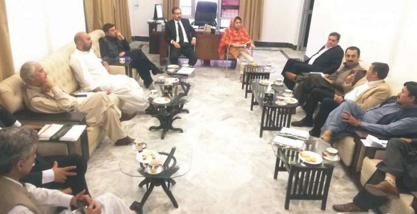 پشاور: وزیر خزانہ تیمور جھگڑا پبلک پرائیویٹ پارٹنر شپ ایکٹ ..