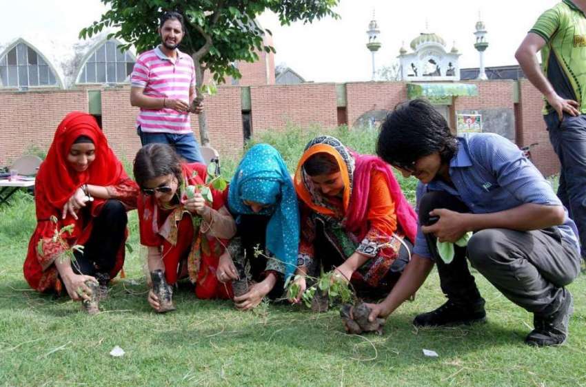 اسلام آباد: یونیورسٹی کے سٹوڈنٹس گرین بیلٹ ایریا میں پودے ..