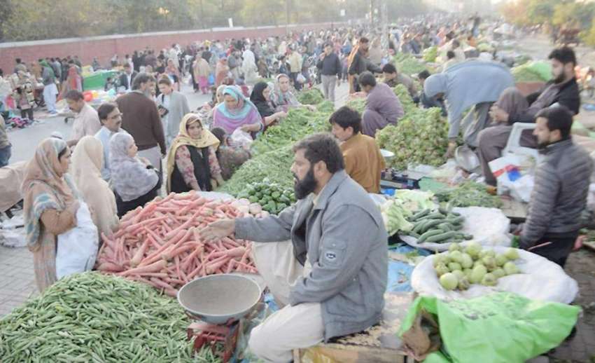 لاہور: شہری شادمان اتوار بازار سے خریداری کررہے ہیں۔