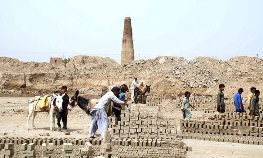 حیدر آباد: مزدور اینٹیں بنانے کے بعد گدھوں پر لوڈ کر رہے ..