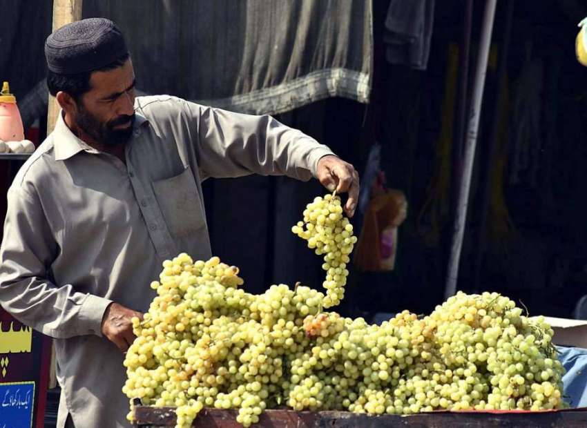 پشاور: ریڑھی بان گاہکوں کو متوجہ کرنے کے لیے انگور سجا رہا ..