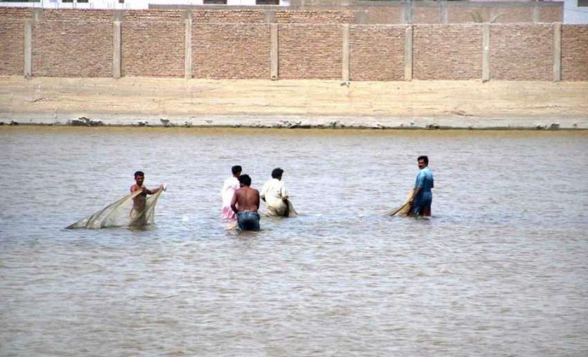 حیدر آباد: ماہی گیر جال کے ذریعے مچھلیاں پکڑنے کی کوشش کر ..
