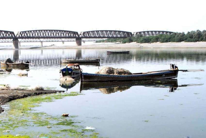 حیدر آباد: کشتیاں دریائے انڈس کنارے کھڑی کی ہوئی ہیں۔