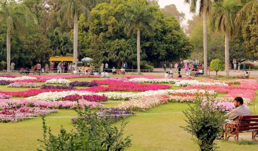 لاہور: باغ جناح میں کھلے پھول خوبصورت منظر پیش کر رہے ہیں۔