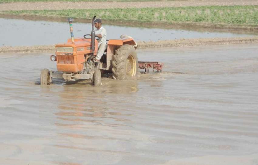 حویلی لکھا: کسان پانی سے بھرے کھیت میں ٹریکٹر چلا کر زمین ..