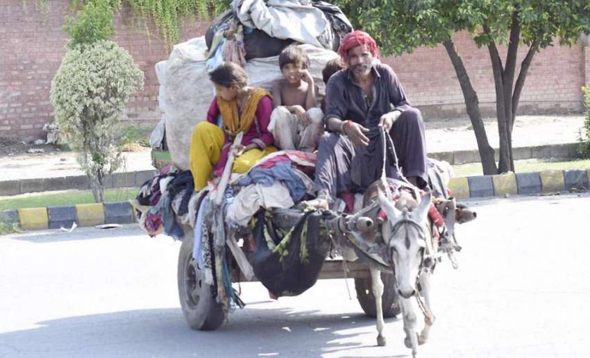 لاہور: خانہ بدوش اپنے بچوں کے ہمراہ گدھا ریڑھی پر پرانے کپڑے ..