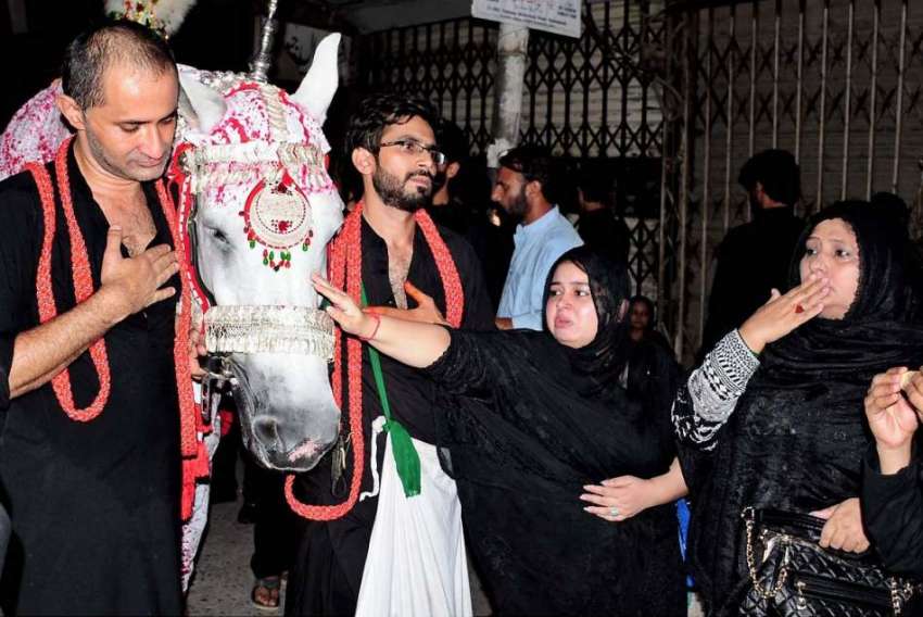 راولپنڈی: عاشورہ کے مرکزی جلوس میں خواتین ذوالجناح کی زیارت ..
