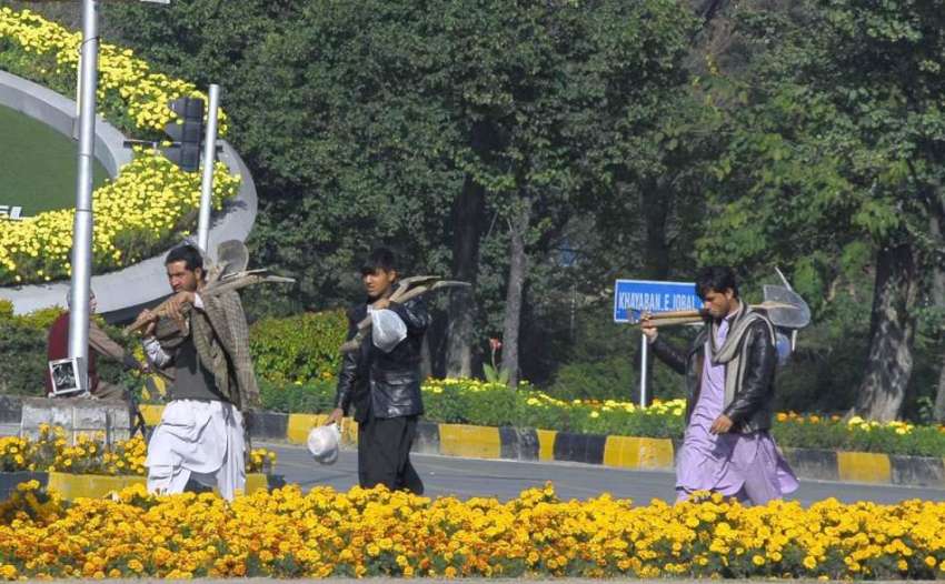 اسلام آباد: مزدور کام کی تلاش میں روڈ کنارے لگے موسمی پھولوں ..