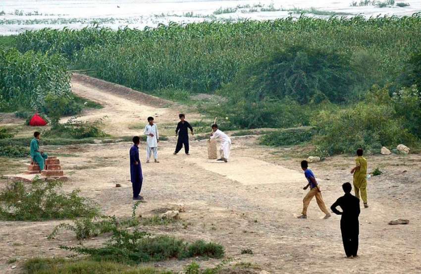 حیدر آباد: بچے کھلے میدان میں کرکٹ کھیل رہے ہیں۔