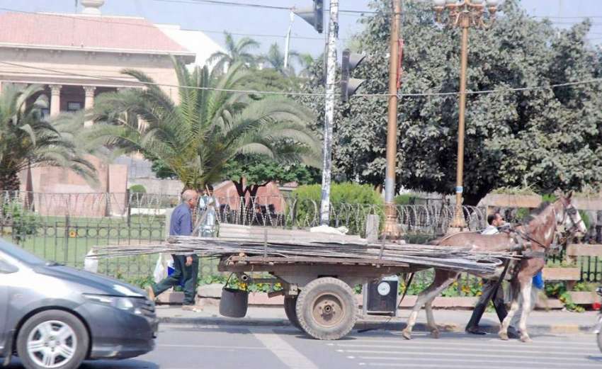 لاہور: مال روڈ پر پابندی کے باوجود ایک کوچوان ریڑھے پر سریا ..