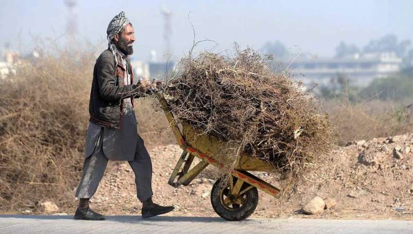 راولپنڈی: خانہ بدوش شخص بطور ایندھن استعمال کرنے کے لیے ..