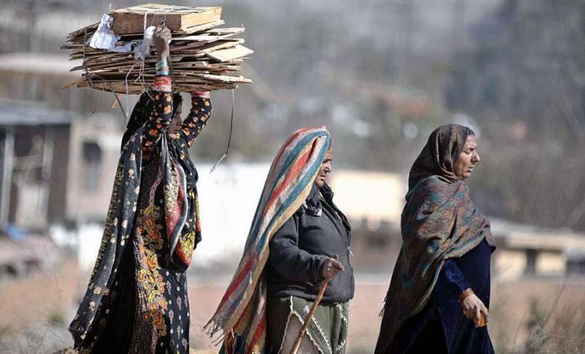 راولپنڈی: خانہ بدوش خواتین چولہا جلانے کے لیے خشک لکڑیاں ..