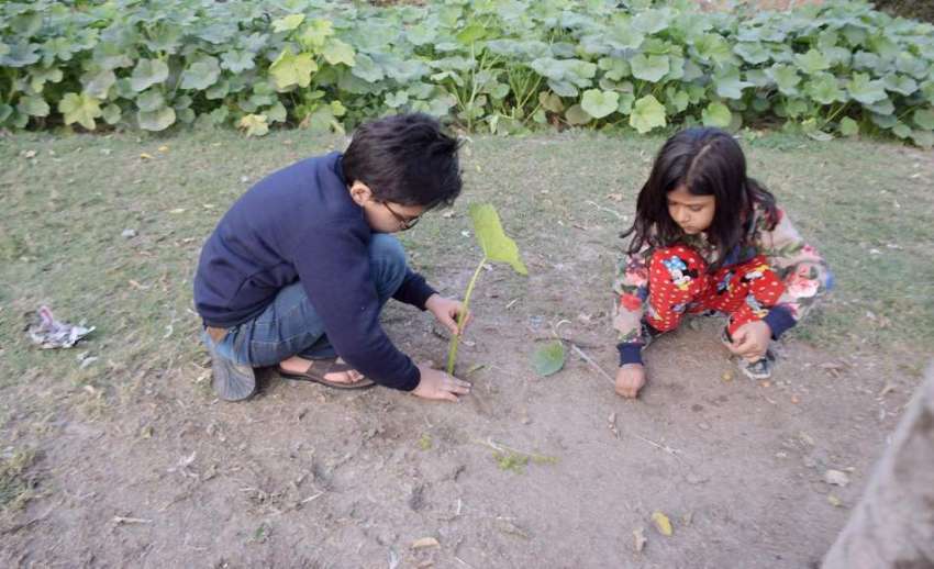 لاہور: بچے اپنے گھر کے لان میں کھیل رہے ہیں۔