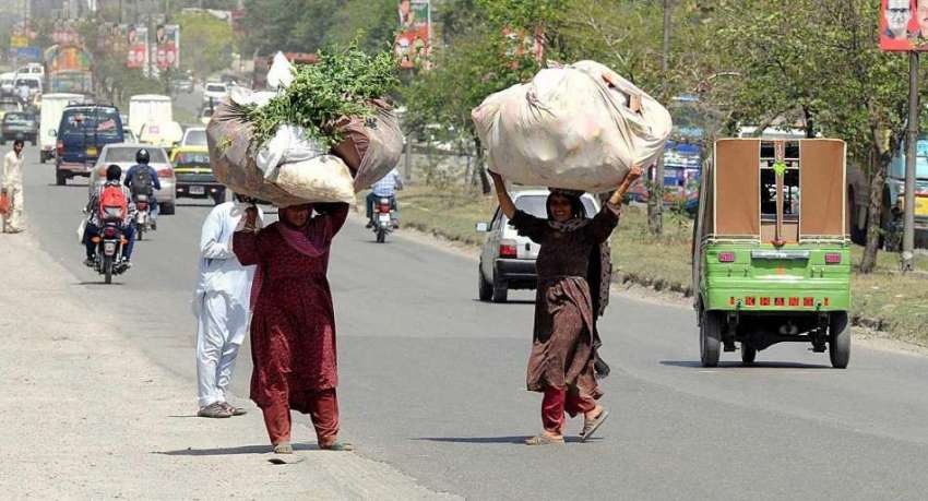 راولپنڈی: خانہ بدوش خواتین اپنے سروں پر گھاس اٹھائے لیجا ..