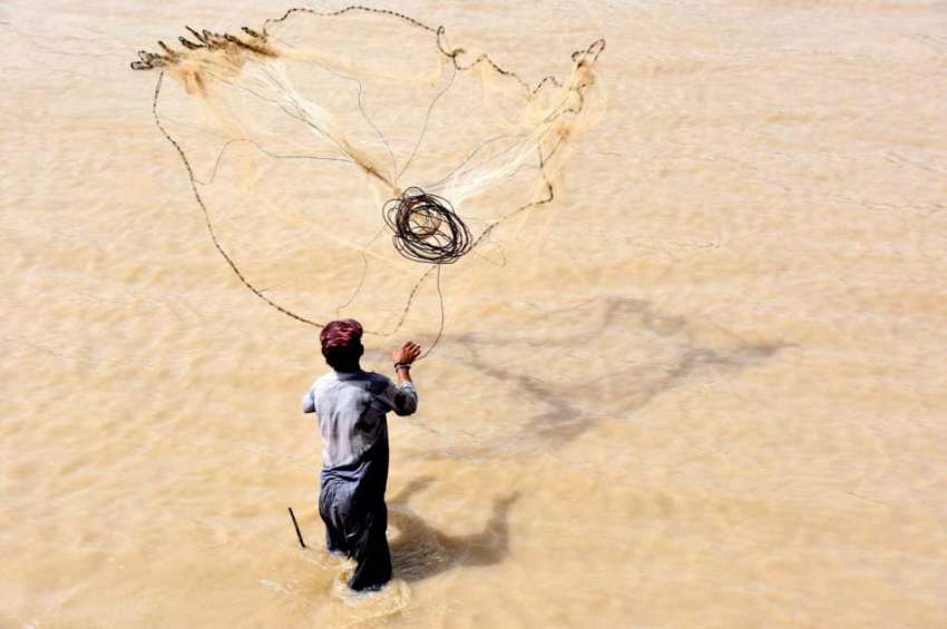 لاڑکانہ: ماہی گیر نہر سے جال کے ذریعے مچھلیاں پکڑنے کی کوشش ..
