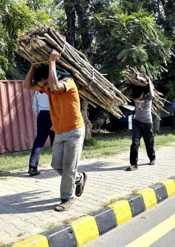 اسلام آباد: دو نوجوان گھریلو استعمال کے لیے خشک لکڑیاں اٹھائے ..