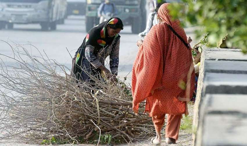 راولپنڈی: خانہ بدوش خواتین گھر کا چولہا جلانے کے لیے خشک ..