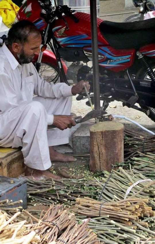 فیصل آباد: محنت کش فروخت کے لیے مسواکیں تیارکر رہا ہے۔
