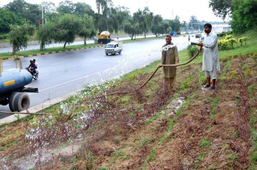 اسلام آباد: سی ڈی اے اہلکار گرین بیلٹ پر لگے پودوں کو ترو ..