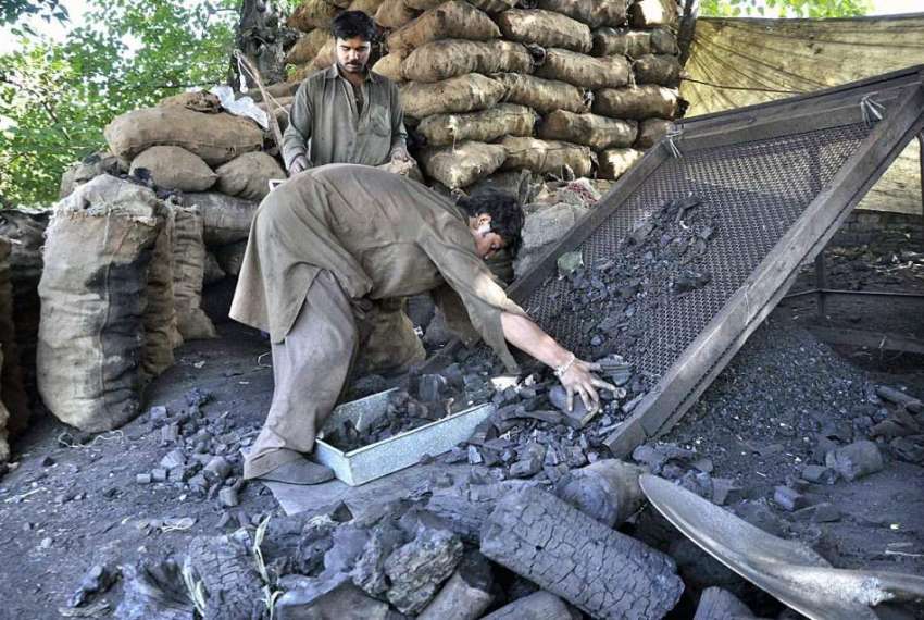 اسلام آباد: وفاقی دارالحکومت میں دکاندار کوئلہ فروخت کر ..