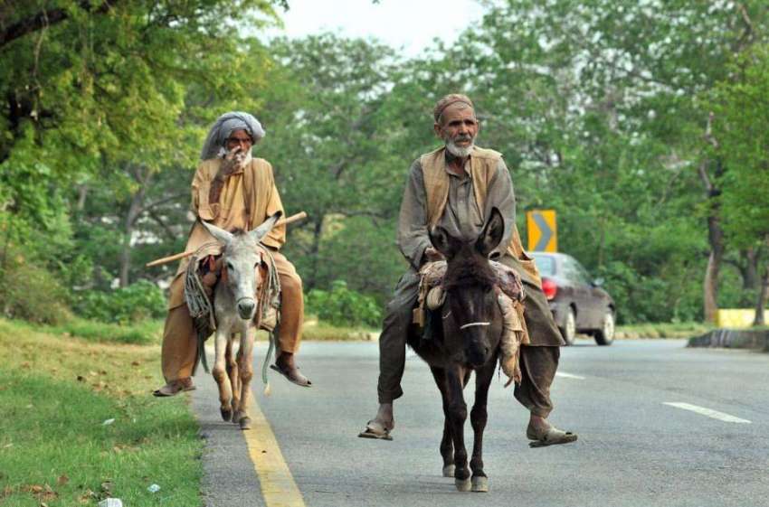اسلام آباد: وفاقی دارالحکومت میں دو مزدور گدھوں پر سوار ..