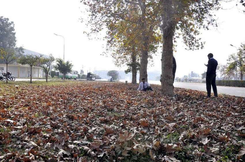 اسلام آباد: موسم بہار کی آمد پر سڑک کنارے درختوں سے گرے ہوئے ..
