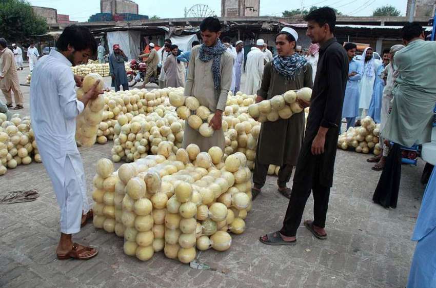 پشاور: شہری فروٹ منڈی سے خربوزے خرید رہے ہیں۔