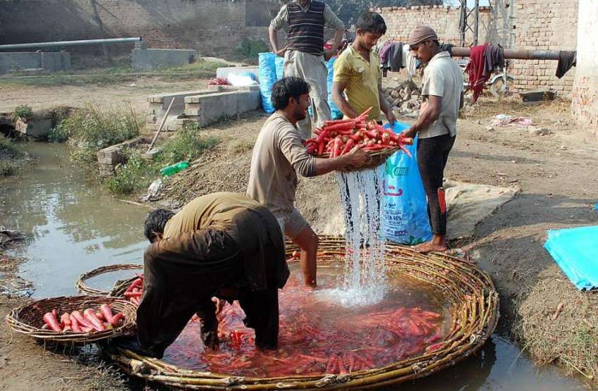 فیصل آباد: کسان سبزی منڈی میں سپلائی سے قبل گاجریں دھو رہے ..