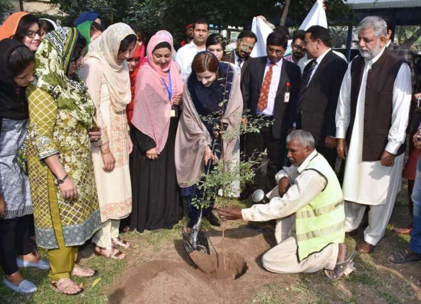 فیصل آباد: وزیر مملکت برائے موسمیاتی تبدیلی زرتاج گل ایگری ..