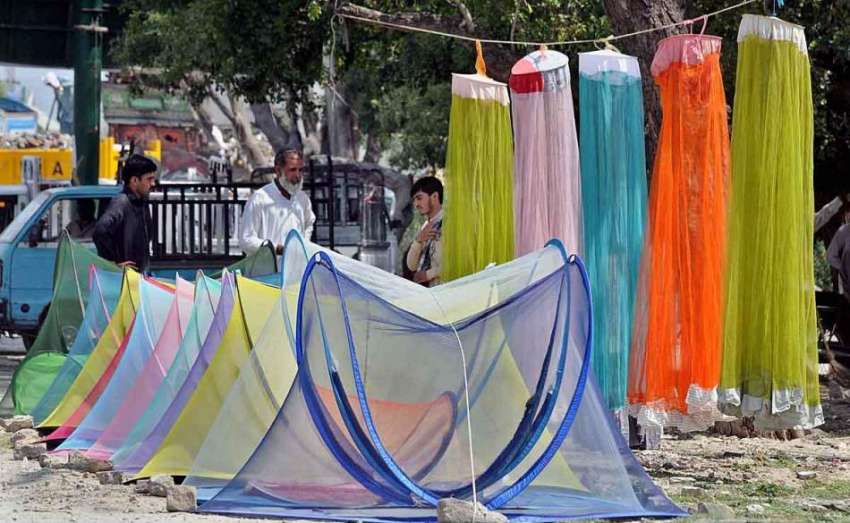 راولپنڈی: محنت کش سڑک کنارے مچھردانیاں سجائے گاہکوں کا منتظر ..