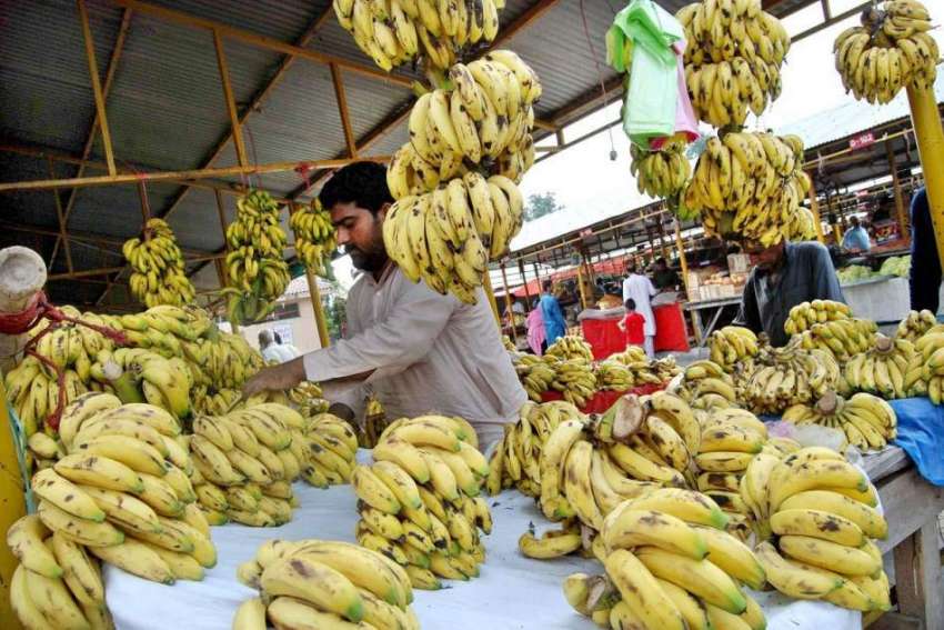 اسلام آباد: دکاندار گاہکوں کو متوجہ کرنے کے لیے کیلے سجا ..